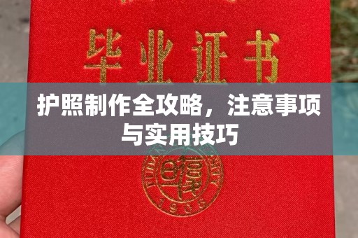 自贡护照制作全攻略，注意事项与实用技巧