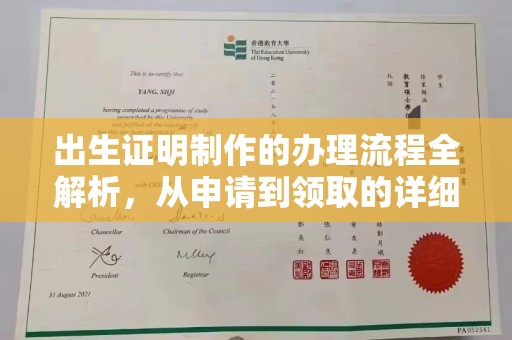 自贡出生证明制作的办理流程全解析，从申请到领取的详细指南