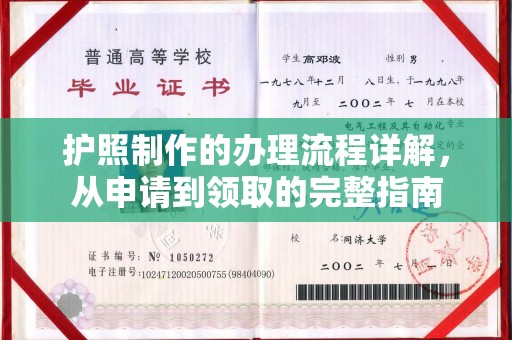 自贡护照制作的办理流程详解，从申请到领取的完整指南