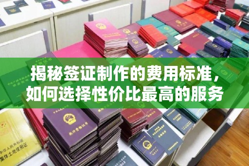 自贡揭秘签证制作的费用标准，如何选择性价比最高的服务？