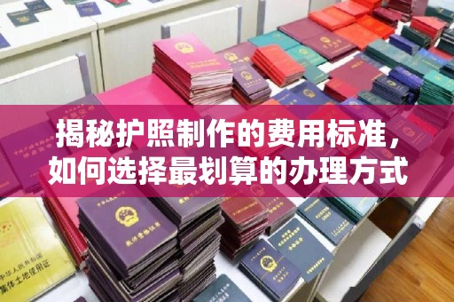 自贡揭秘护照制作的费用标准，如何选择最划算的办理方式？