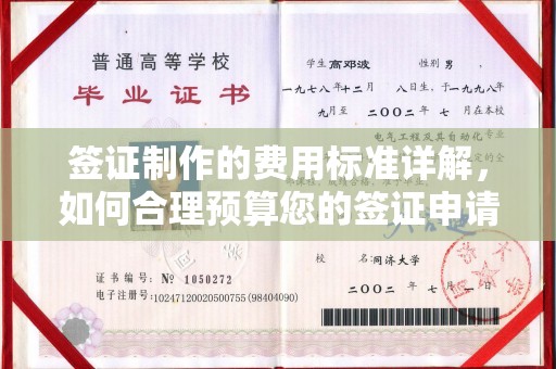 自贡签证制作的费用标准详解，如何合理预算您的签证申请成本