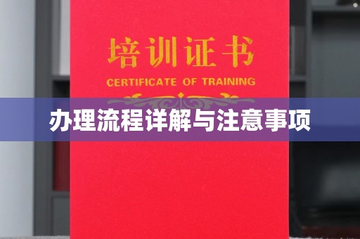 自贡办理流程详解与注意事项